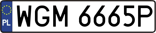 WGM6665P