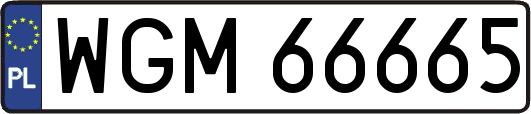 WGM66665