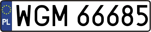 WGM66685