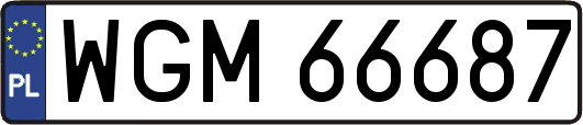 WGM66687