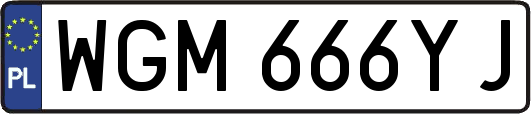 WGM666YJ