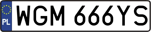 WGM666YS
