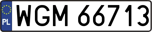 WGM66713