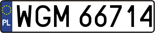 WGM66714