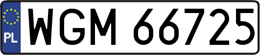 WGM66725