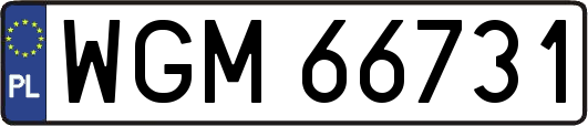 WGM66731
