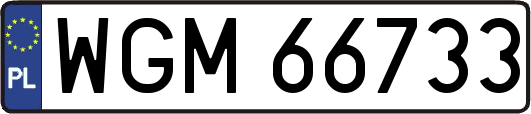 WGM66733