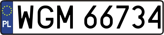 WGM66734