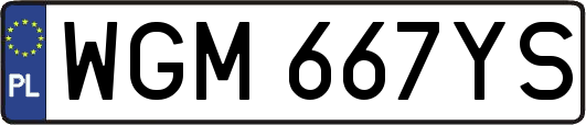 WGM667YS