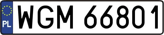 WGM66801
