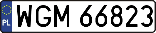 WGM66823