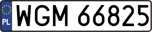 WGM66825