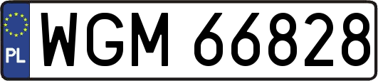 WGM66828