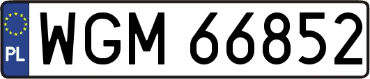 WGM66852