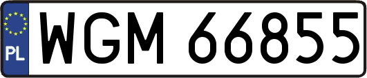 WGM66855