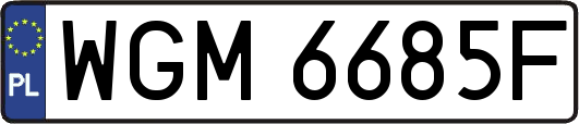 WGM6685F