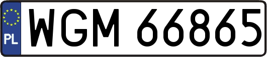 WGM66865