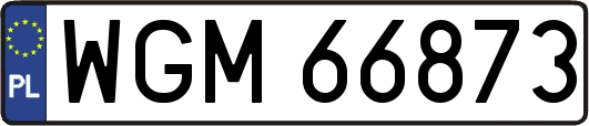 WGM66873