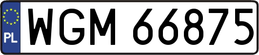 WGM66875