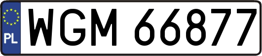 WGM66877