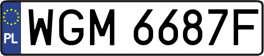 WGM6687F