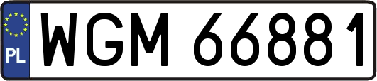 WGM66881
