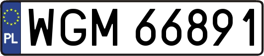 WGM66891