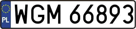WGM66893