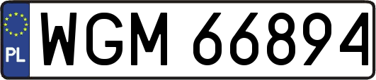 WGM66894