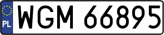 WGM66895