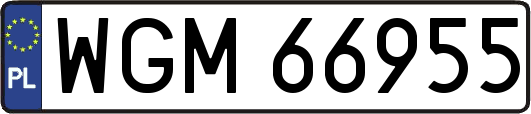 WGM66955