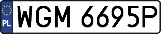 WGM6695P