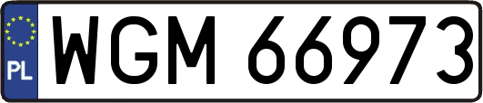 WGM66973