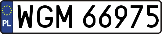 WGM66975