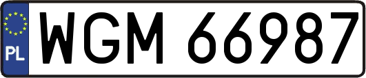 WGM66987