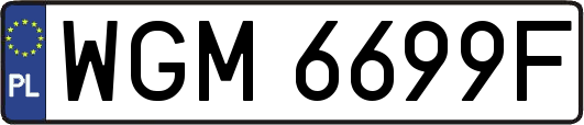 WGM6699F