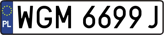 WGM6699J
