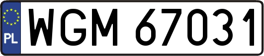 WGM67031