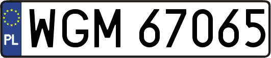 WGM67065