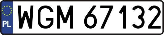 WGM67132