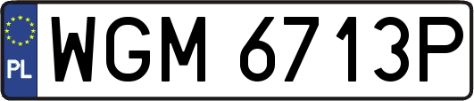 WGM6713P
