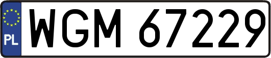WGM67229