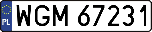 WGM67231