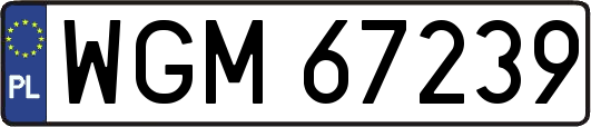 WGM67239
