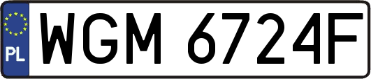 WGM6724F