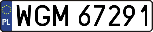 WGM67291