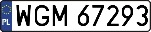 WGM67293