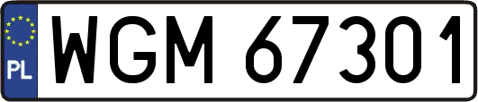 WGM67301