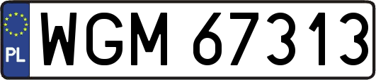 WGM67313