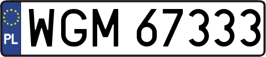 WGM67333